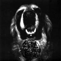 Hotel Wrecking City Traders : Somer